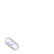 256