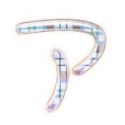 081