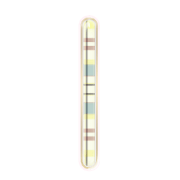 242