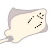 007