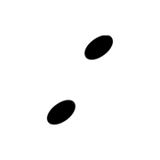 244