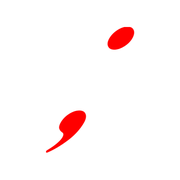 243