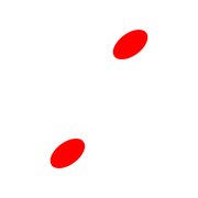 244