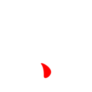 256