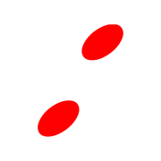 244
