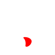 256