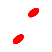 244