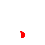 256