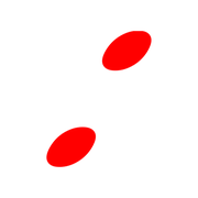 244