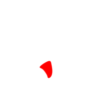 256