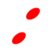 244
