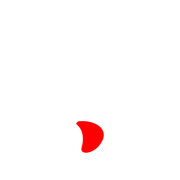 256