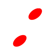 244
