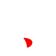 256
