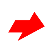 262