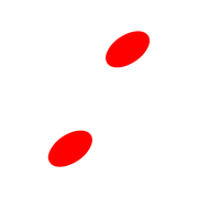 244