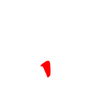 256