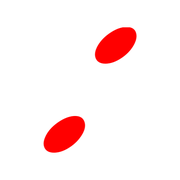 244
