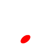 246