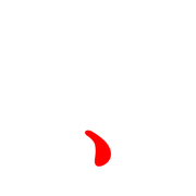 256