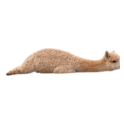 036