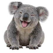 039