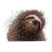 025