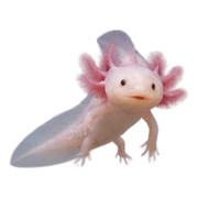 008