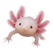 018