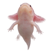 019