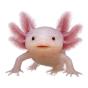 024