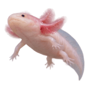 026
