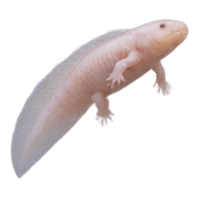 027