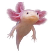 028
