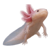 029