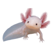 031