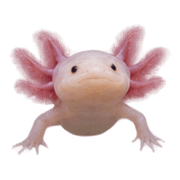 033