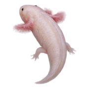 034