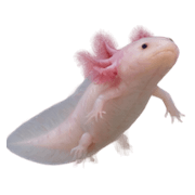 035