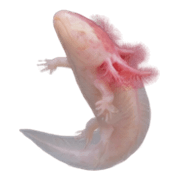037