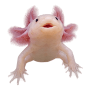 038