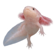039