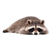 017