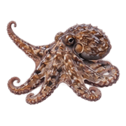 039
