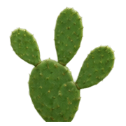 003
