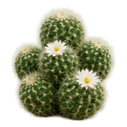 008
