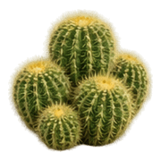 011
