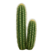 013