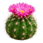 014