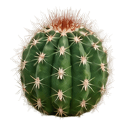 017
